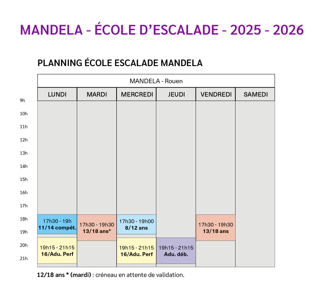 Planning école d'escalade au gymnase Nelson Mandela
