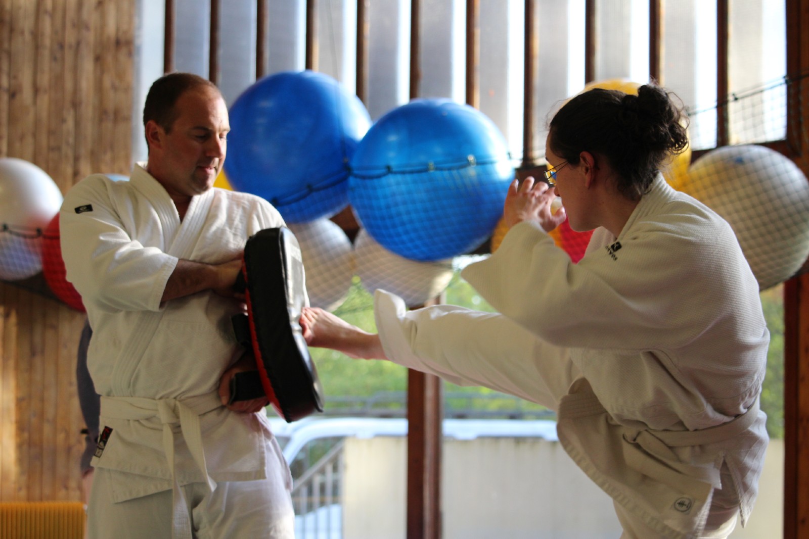 Aikibudo & Kobudo Rouen